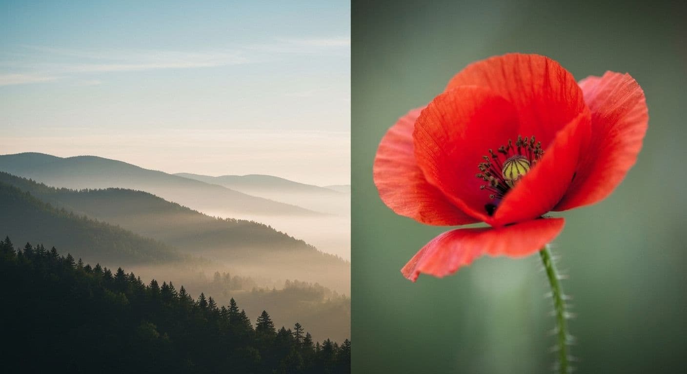 Person creating a self-awareness summary with thoughtful reflection on emotional patterns